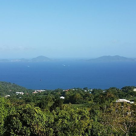 Вилла L'Ilot Fruits Guadeloupe Труа-Ривьер Экстерьер фото