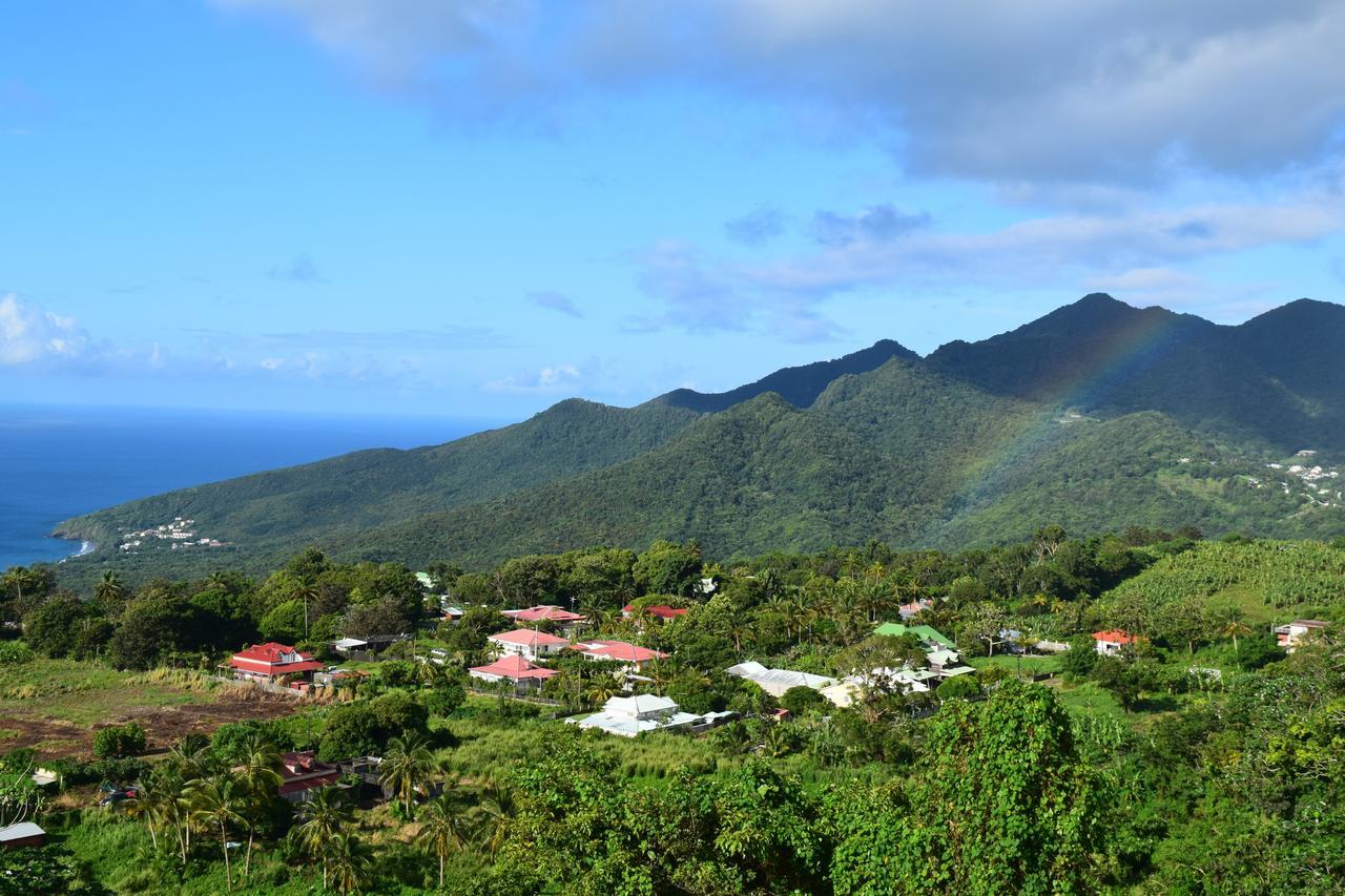 Вилла L'Ilot Fruits Guadeloupe Труа-Ривьер Экстерьер фото